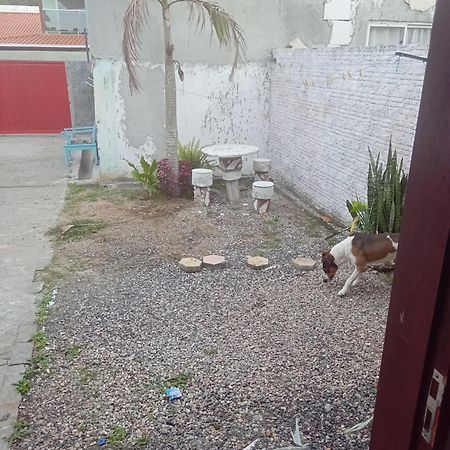 Kitinete Rio Vermelho Florianópolis Eksteriør billede